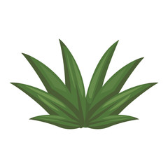 Bush plant symbol icon vector illustration graphic design