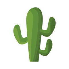 Cactus plant desert icon vector illustration graphic design