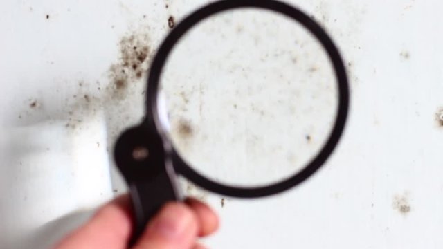 Black Mould Assessments In House. A colony of black mold on walls. Growing mouldy