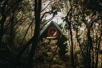 Cabin 