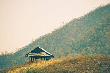 The hut among the mountains is surrounded by forests in summer. The concept of seclusion is truly blissful. Copy spaces for text.