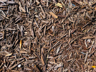 Mulch and Dirt On Ground in Florida