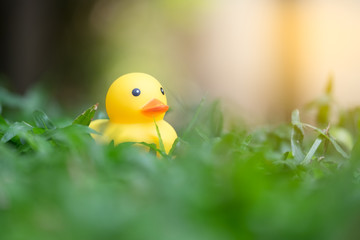 Rubber duck in green