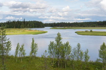 Characteristic landscape of the tundra, lake and vegetation, Finland
