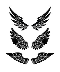 Wings Collection Set