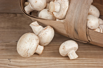 Basket with mushrooms on wooden background