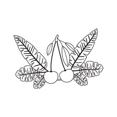 cherries fresh fruit with leafs frame vector illustration design