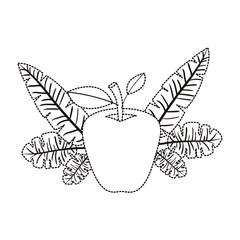 apple fresh fruit with leafs frame vector illustration design