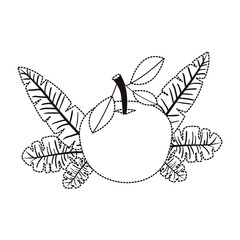 orange with leafs fresh and citrus fruit vector illustration design