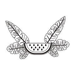 watermelon fresh fruit slice with leafs vector illustration design