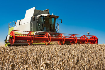 Obraz premium Combine harvester at the wheat harvest - 769944 