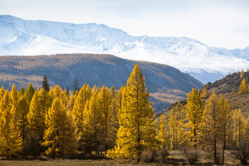 Landscapes of the Mountains at autumn, Altai Republic, Russia.