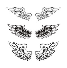 Wings Collection Set