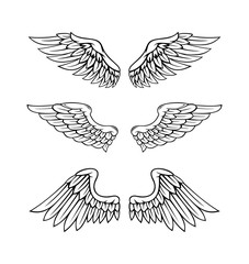 Wings Collection Set