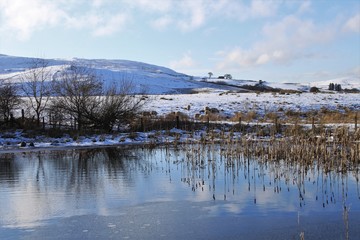 Bogton Loch - Dalmellington