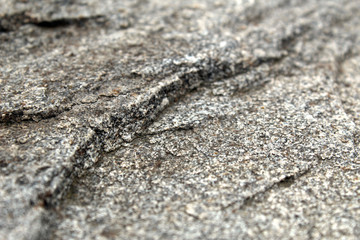 Fine-grained rough rock surface seen in detail