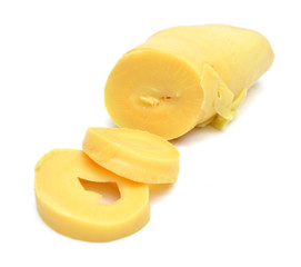 Bamboo shoot on white background