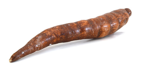 Casava root isolated on white from low perpective.