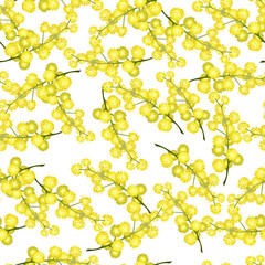 Seamless spring pattern with mimosa
