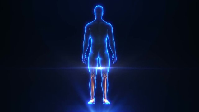 Medical Animation X-Ray Body Scan