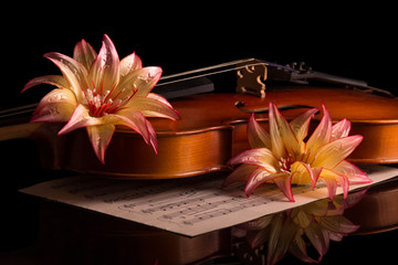 Violin and bright flowers isolated on black