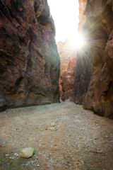 Beautiful sandstone canyon in Jordan - Petra. Seven wonders of new world called Petra. Natural background. Tourism place 