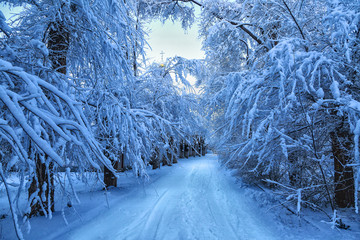 winter panorama on the road through coniferous forest