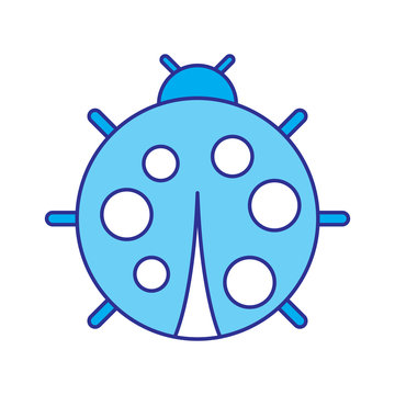 cute ladybug dotted animal insect wildlife vector illustration blue image