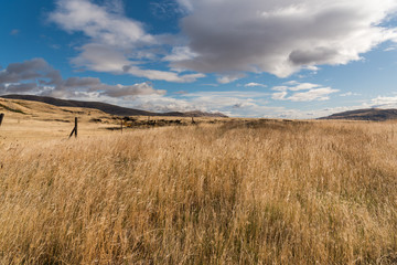 Clouds over golden field 