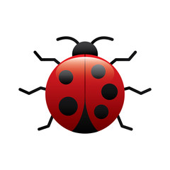 virus bug alert error insect animal vector illustration
