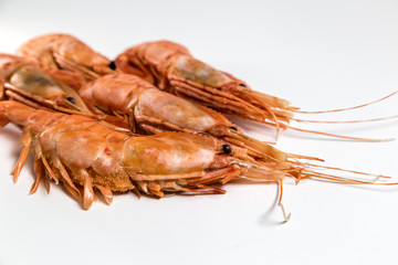 shrimp langoustine lie on a white background
