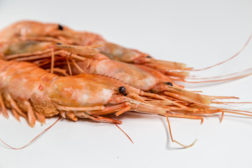 shrimp langoustine lie on a white background