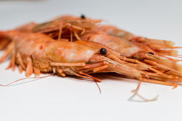 shrimp langoustine lie on a white background