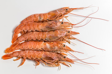 shrimp langoustine lie on a white background