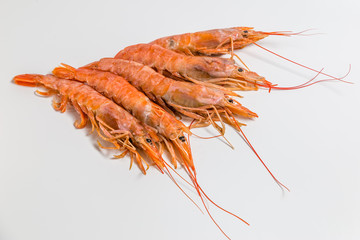 shrimp langoustine lie on a white background