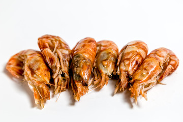 shrimp langoustine lie on a white background