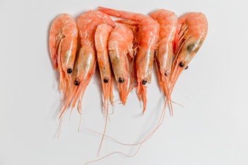 shrimp langoustine lie on a white background