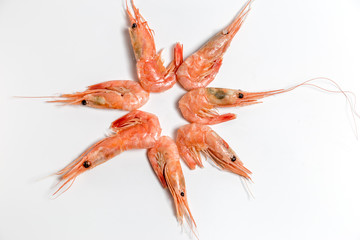 shrimp langoustine lie on a white background