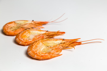 shrimp langoustine lie on a white background