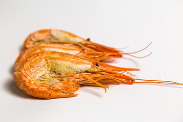 shrimp langoustine lie on a white background