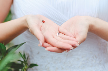 girl white dress holds beetle ladybug Coccinellidae