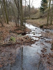 Strumyk © michalsen