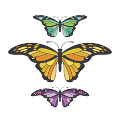 Obraz na płótnie Canvas colorful three butterfly vector illustration