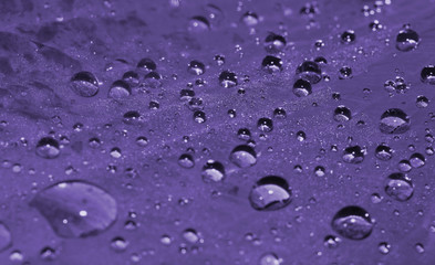 Morning dew (ultra violet)