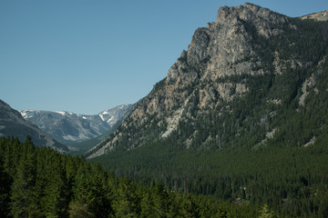 Fototapeta na wymiar Endless trees and mountains in the wilderness of Wyoming