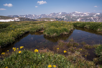 Fototapeta na wymiar Alpine meadows and pond in Wyomings mountains