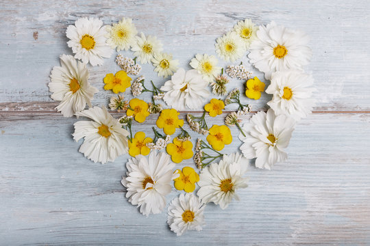 A bouquet of white flowers cosmea or cosmos with ribbon on white boards. Garden yellow flowers over handmade wooden table background. Backdrop with copy space.