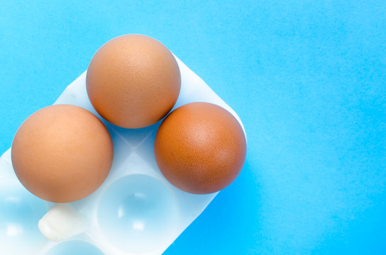 Three eggs in stand for egg on a blue background.