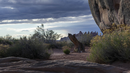 Capitol Reef Campsite