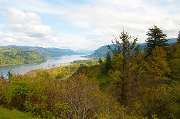 Fototapeta premium Columbia River 
